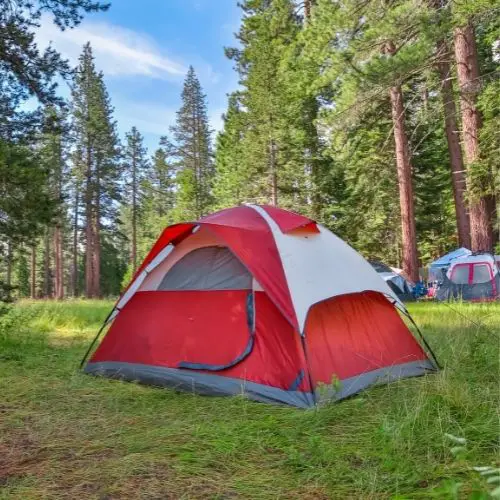 budget tent for camping