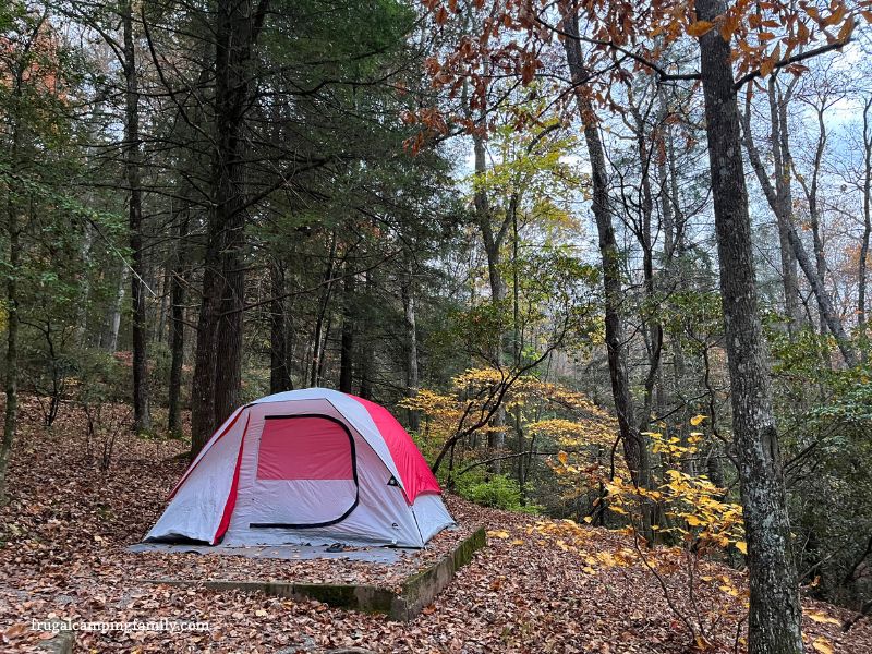 red and grey camping tent