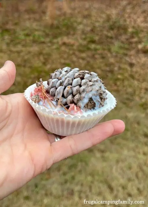 firestarter cupcake with pinecone