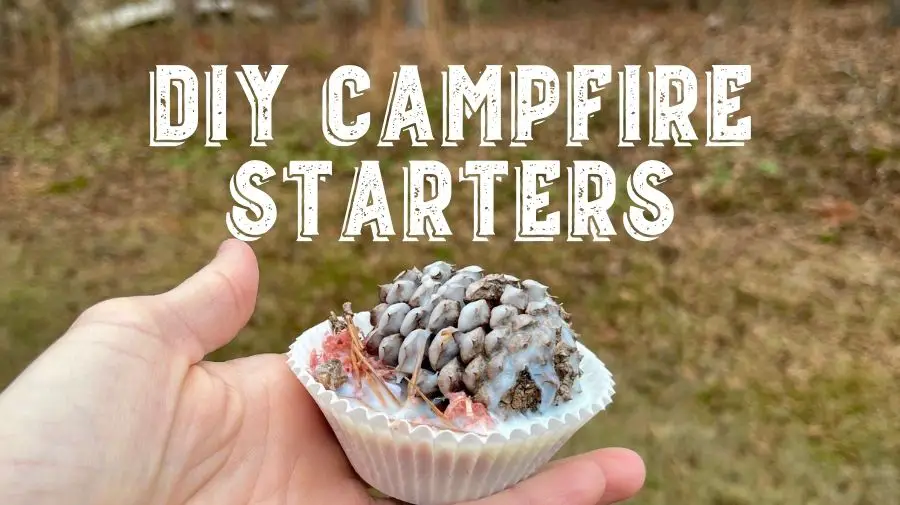 diy campfire staters and pinecone wax cupcake
