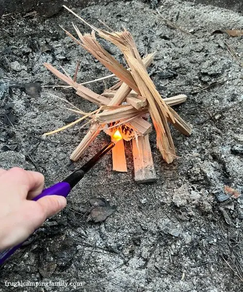 pinecone fire starter