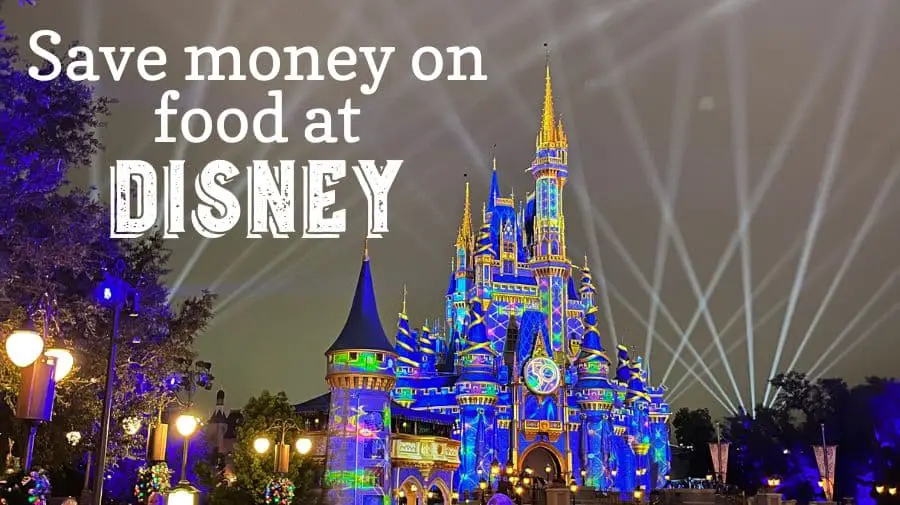 save money on food at disney with castle photo