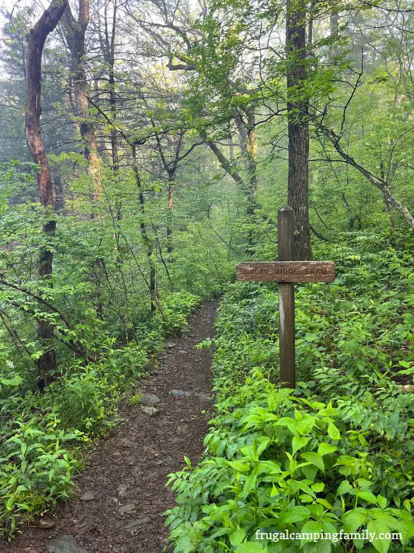 Appalachian Trail Photo