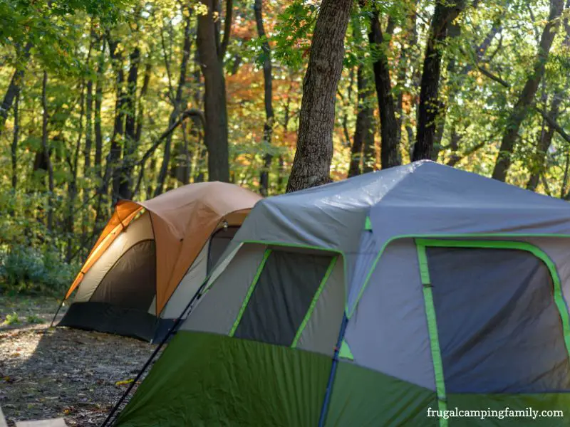 tents in the woods